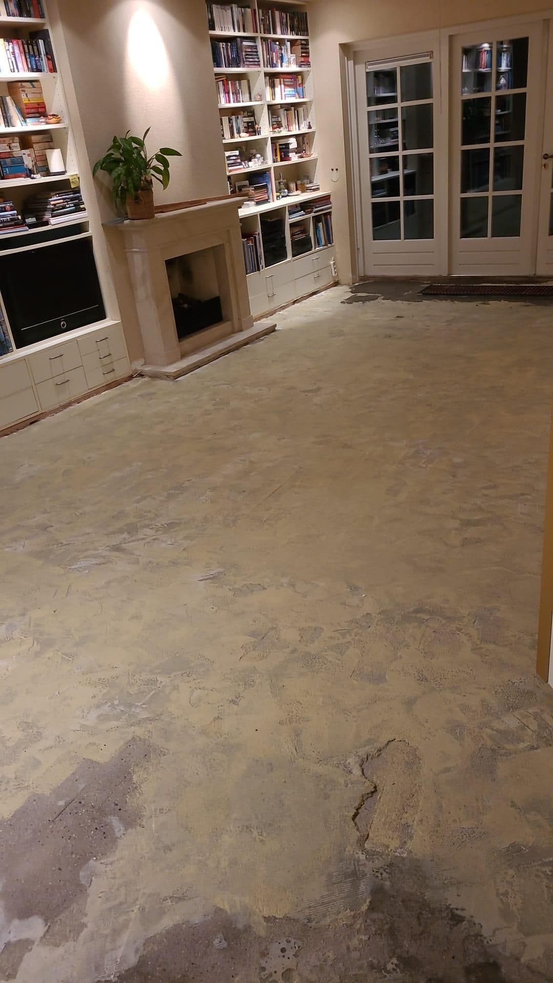 Woonkamer met blootgelegde ondervloer, ingebouwde boekenplanken, open haard en glazen deuren